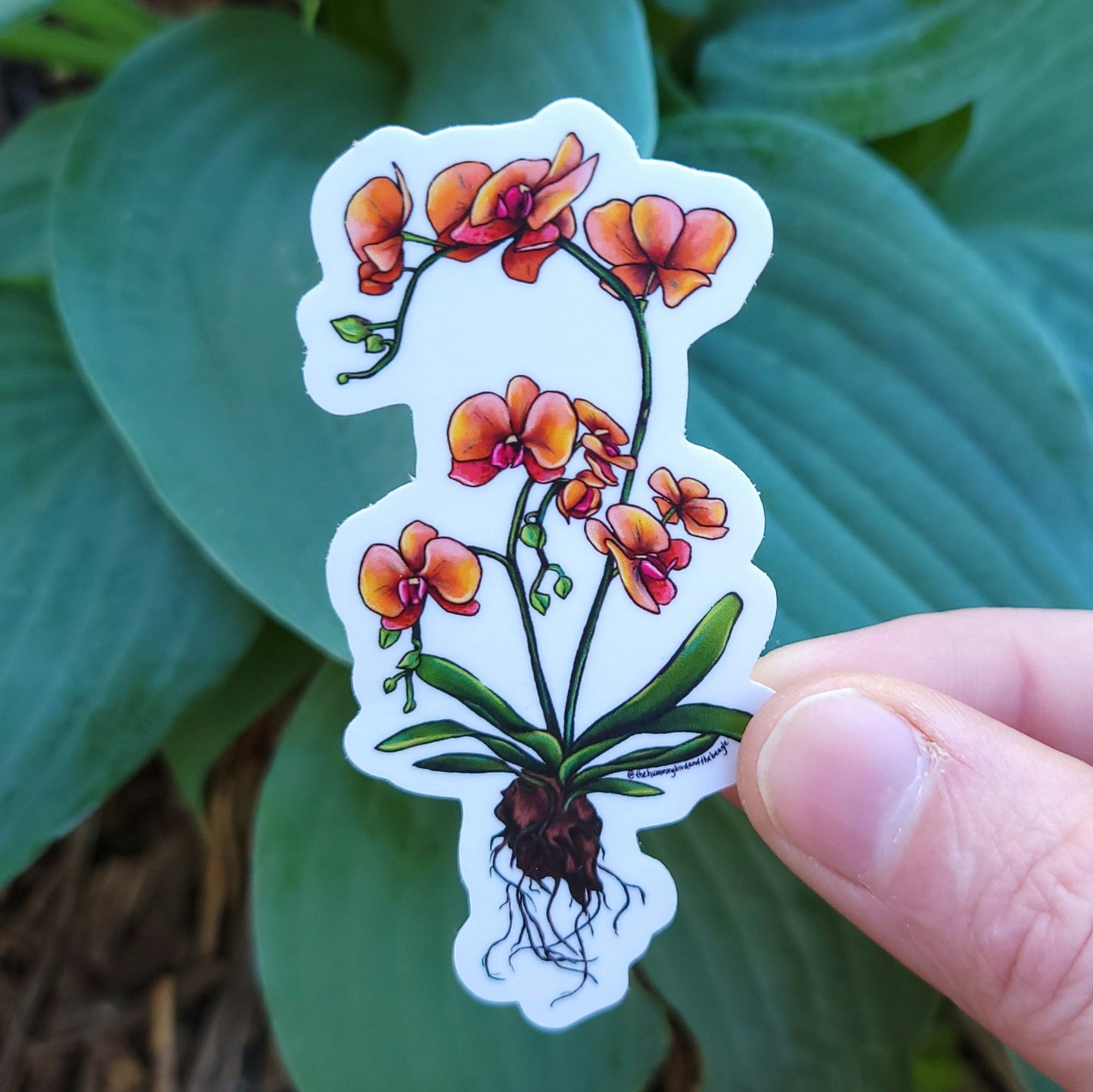 Orchid Sticker