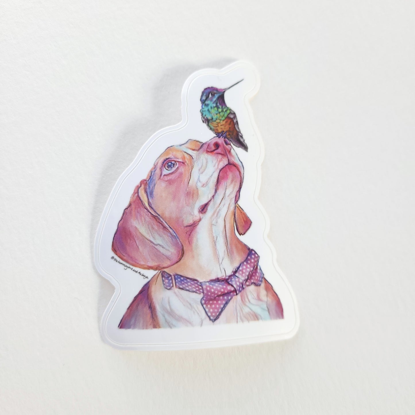 The Hummingbird and The Beagle Sticker