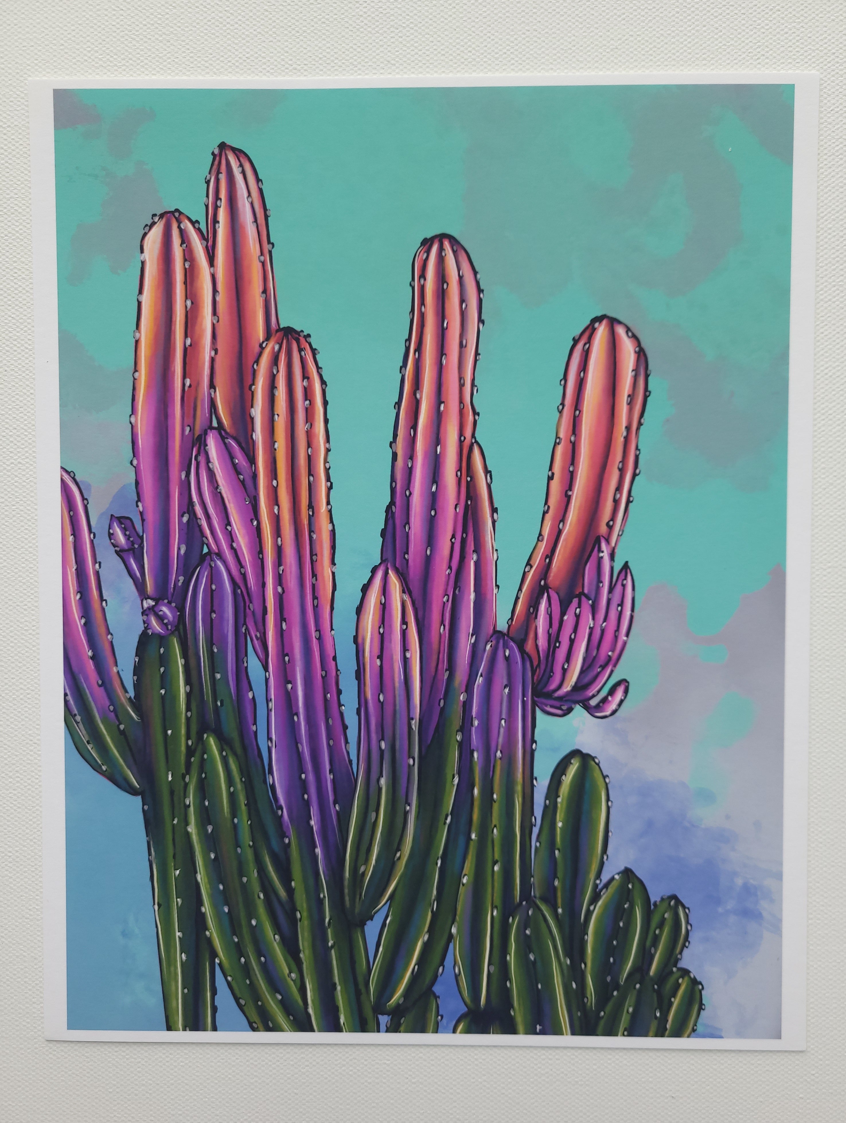 Colorful Cactus II