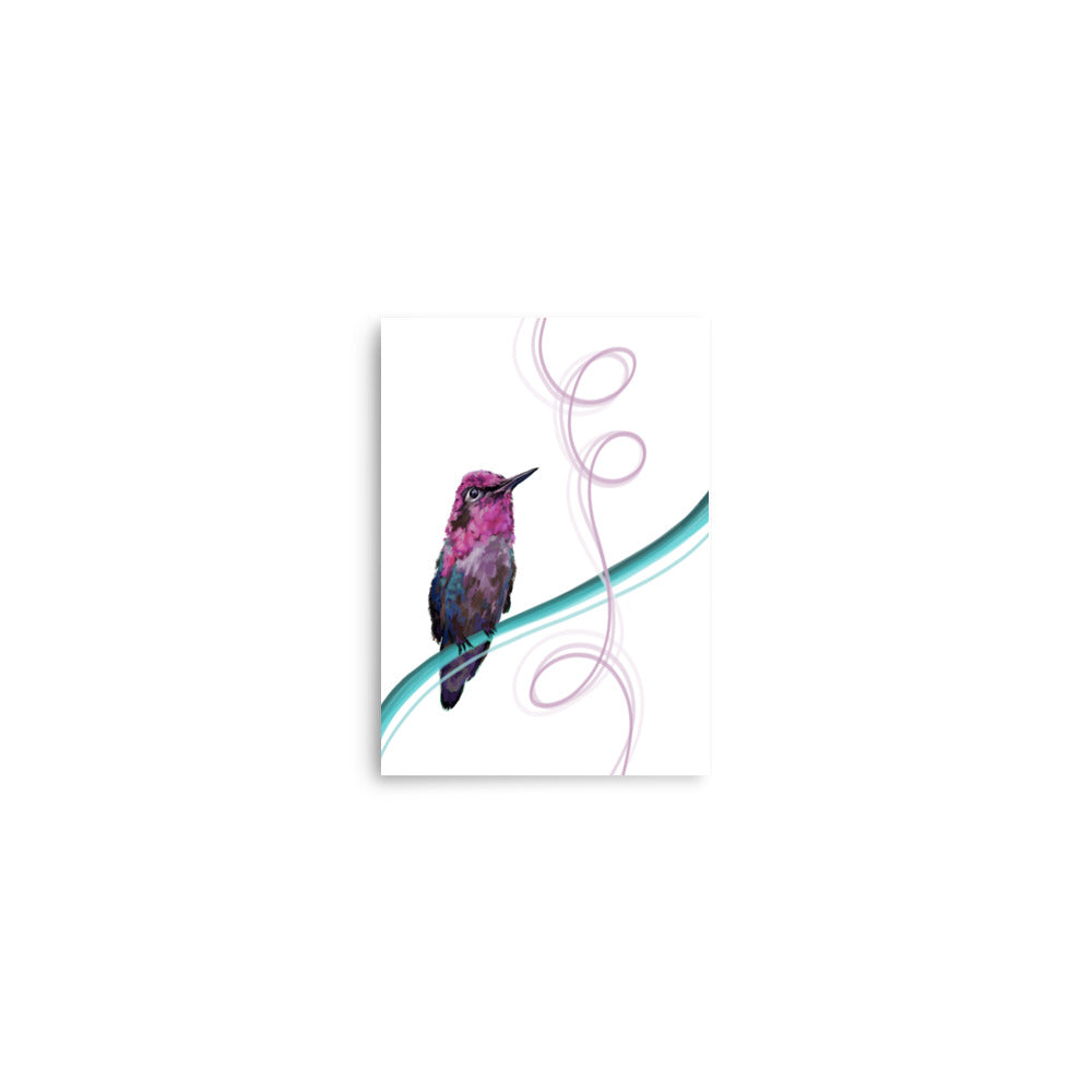 Margo - The Pink Hummingbird - Fine Art Print