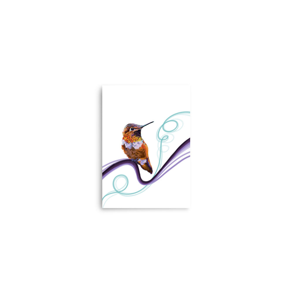 Olive - The Orange Hummingbird - Fine Art Print