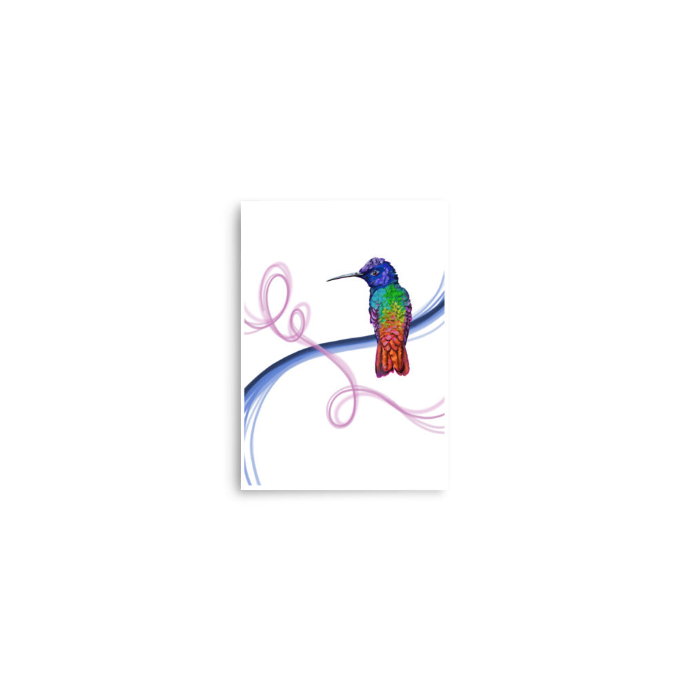 Reagan - The Colorful Hummingbird - Fine Art Print