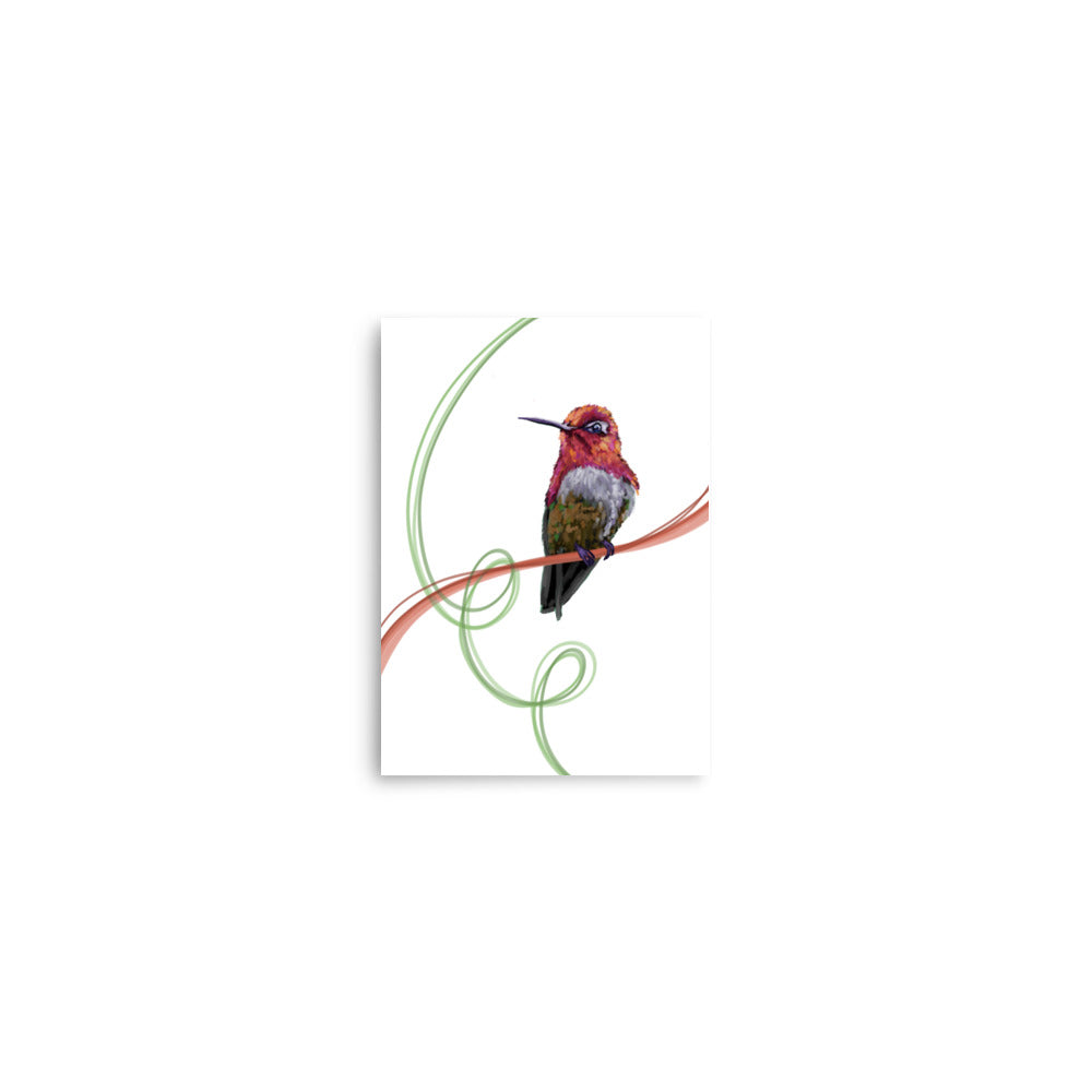 Raven - The Red Hummingbird - Fine Art Print