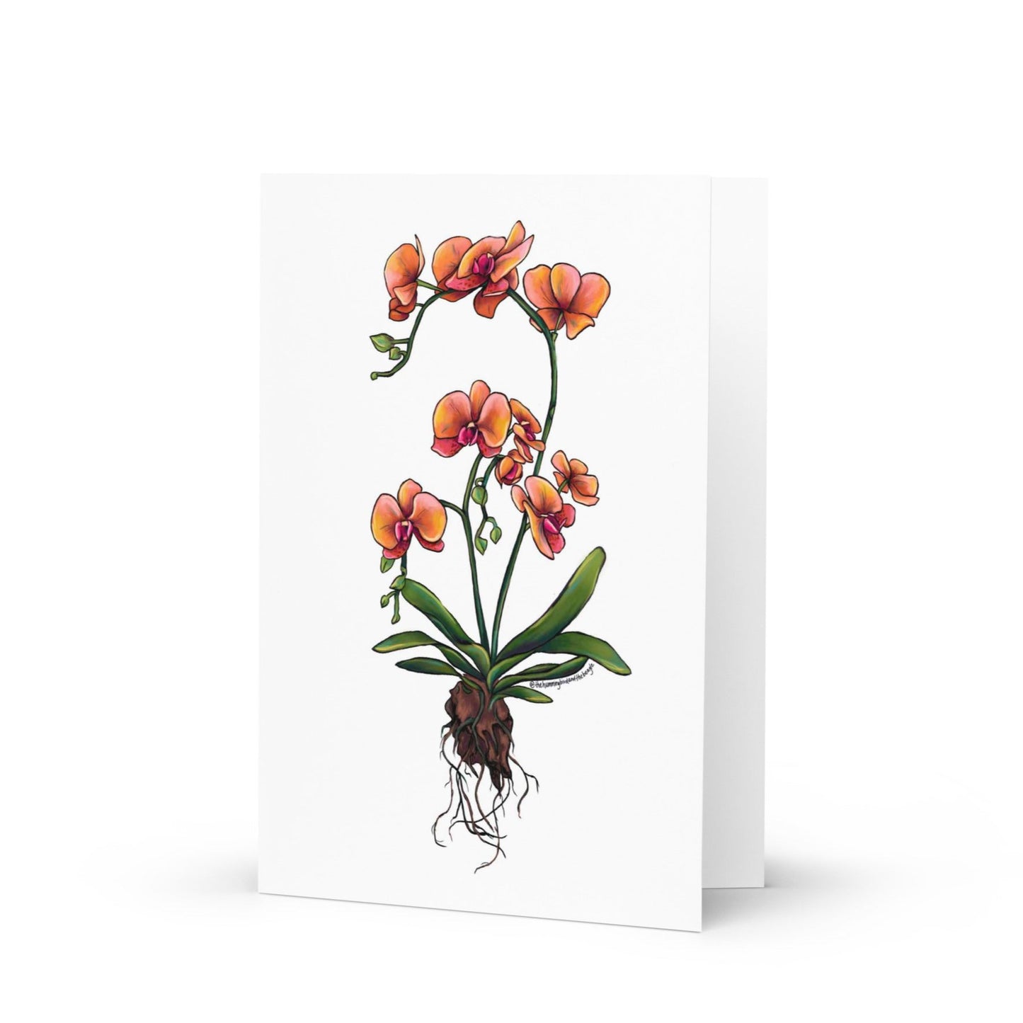 Orchid Greeting Card