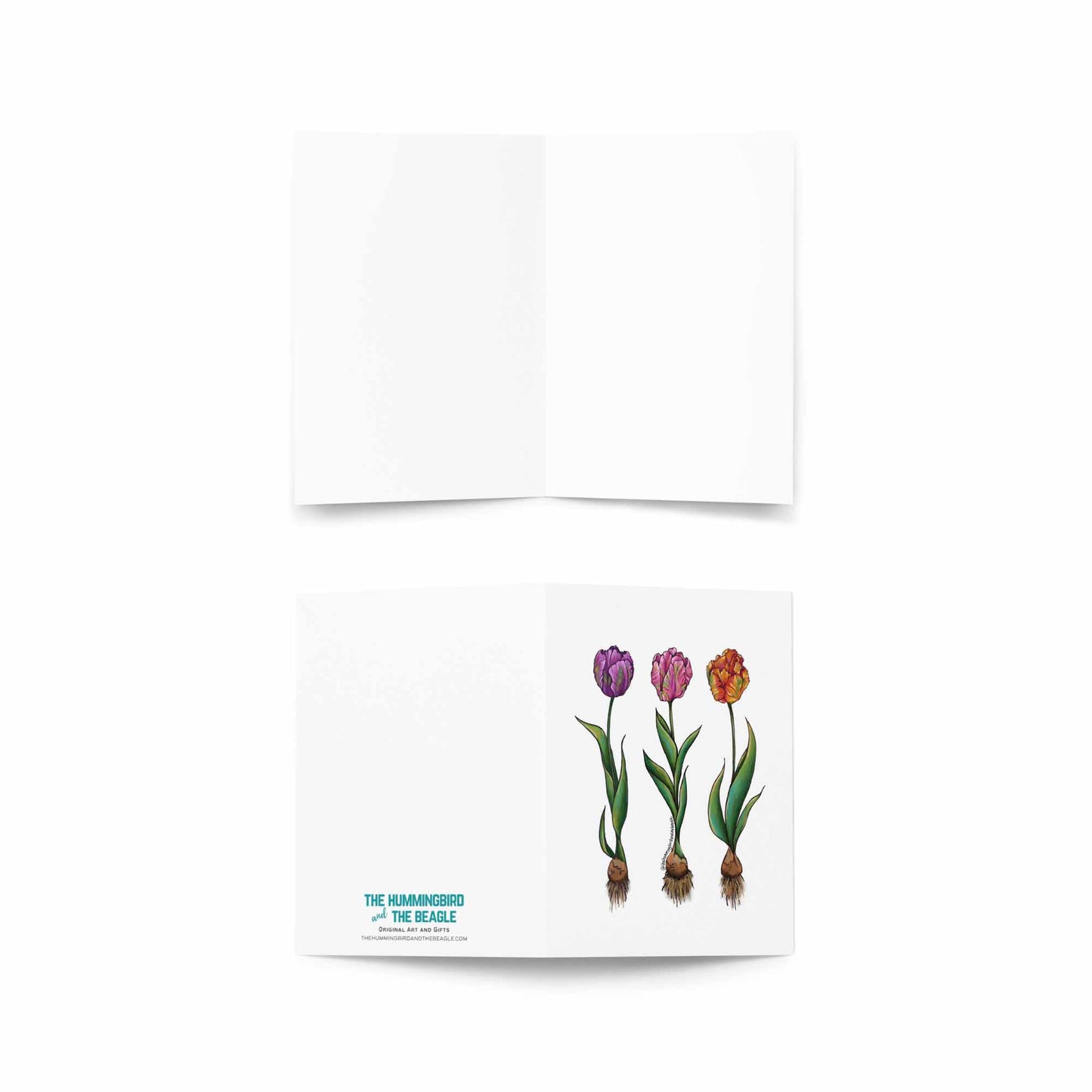 Tulip Trio Greeting Card