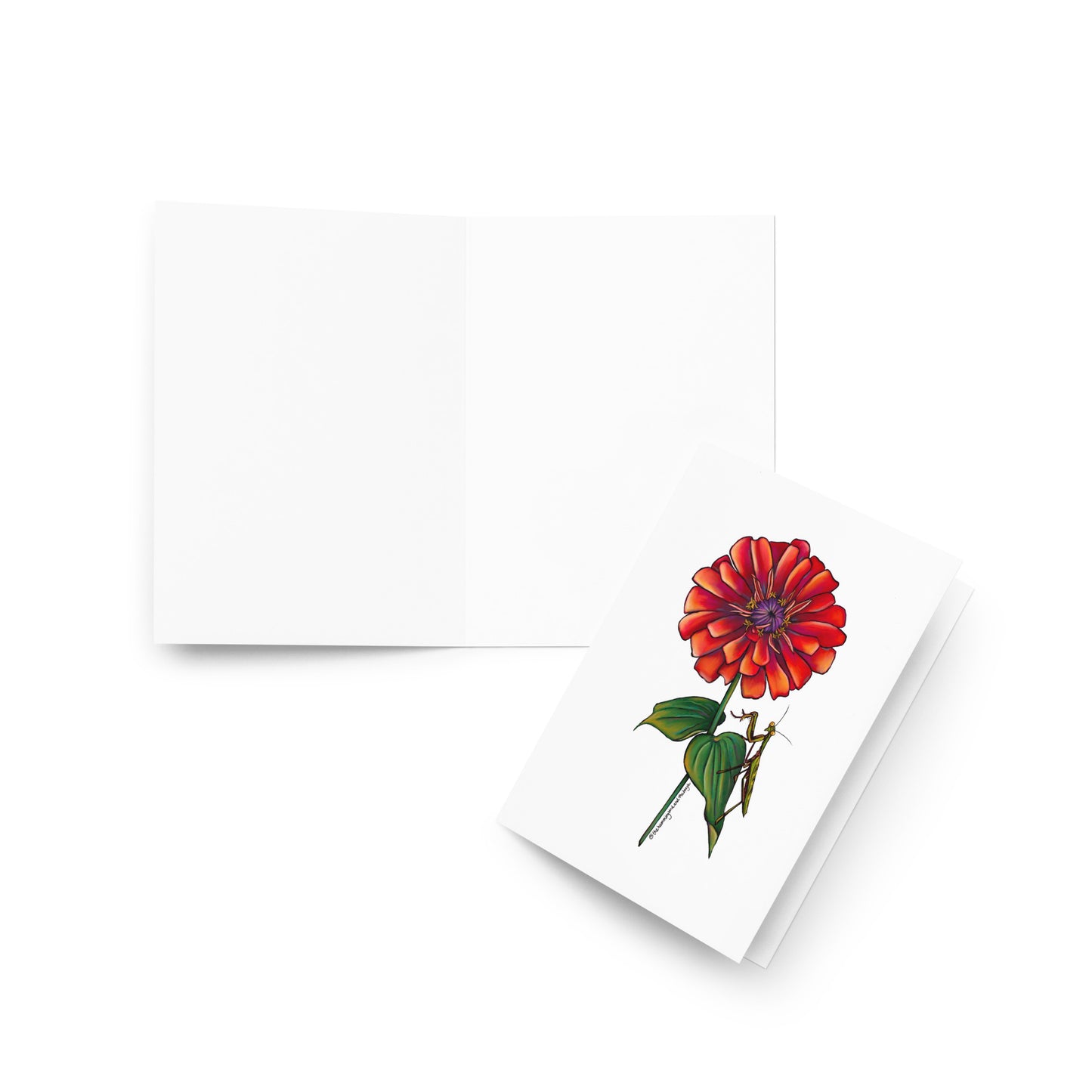 Zinnia and Friend Greeting Card