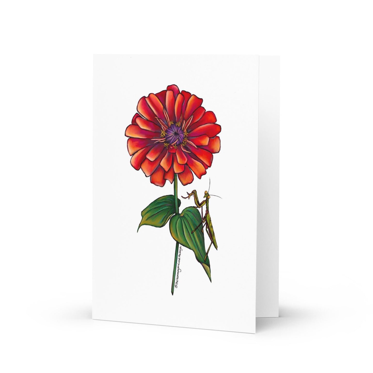 Zinnia and Friend Greeting Card