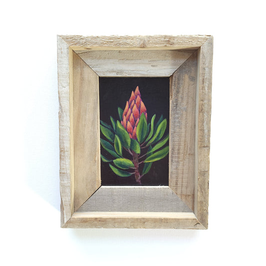 4x6 Framed Mini Protea