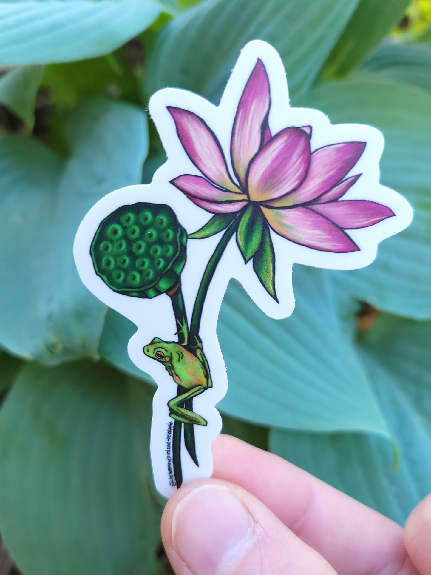 Lotus and Friend Sticker
