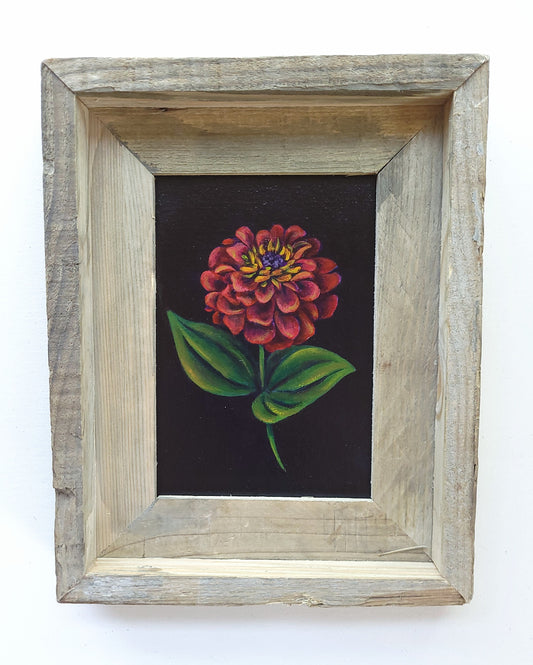 5x7 Framed Red Zinnia