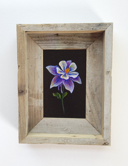 5x7 Framed Columbine I