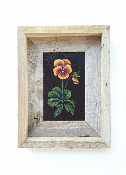 4x6 Framed Mini Yellow Pansy