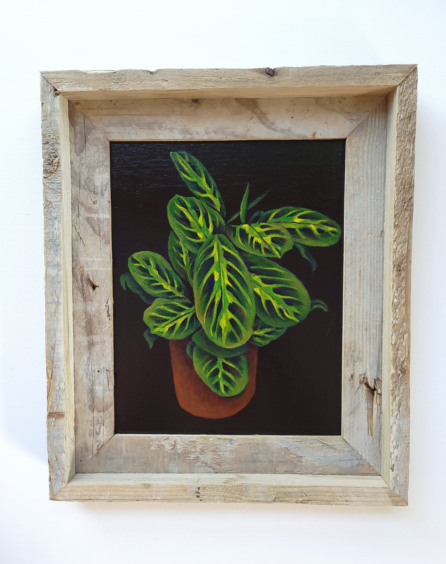8x10 Framed Prayer Plant