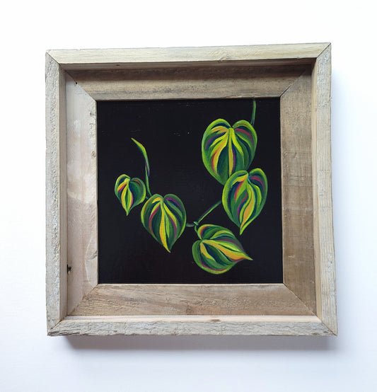 8x8 Framed Philodendron Leaves