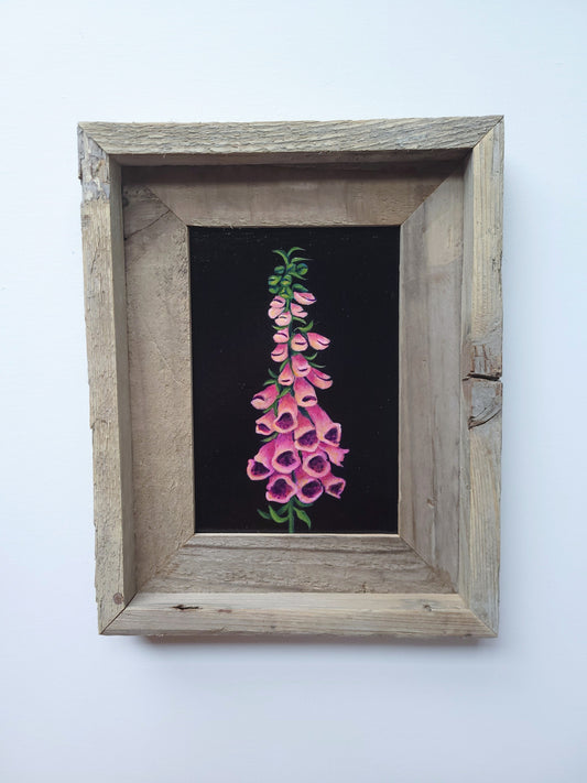 5x7 Framed Foxglove III