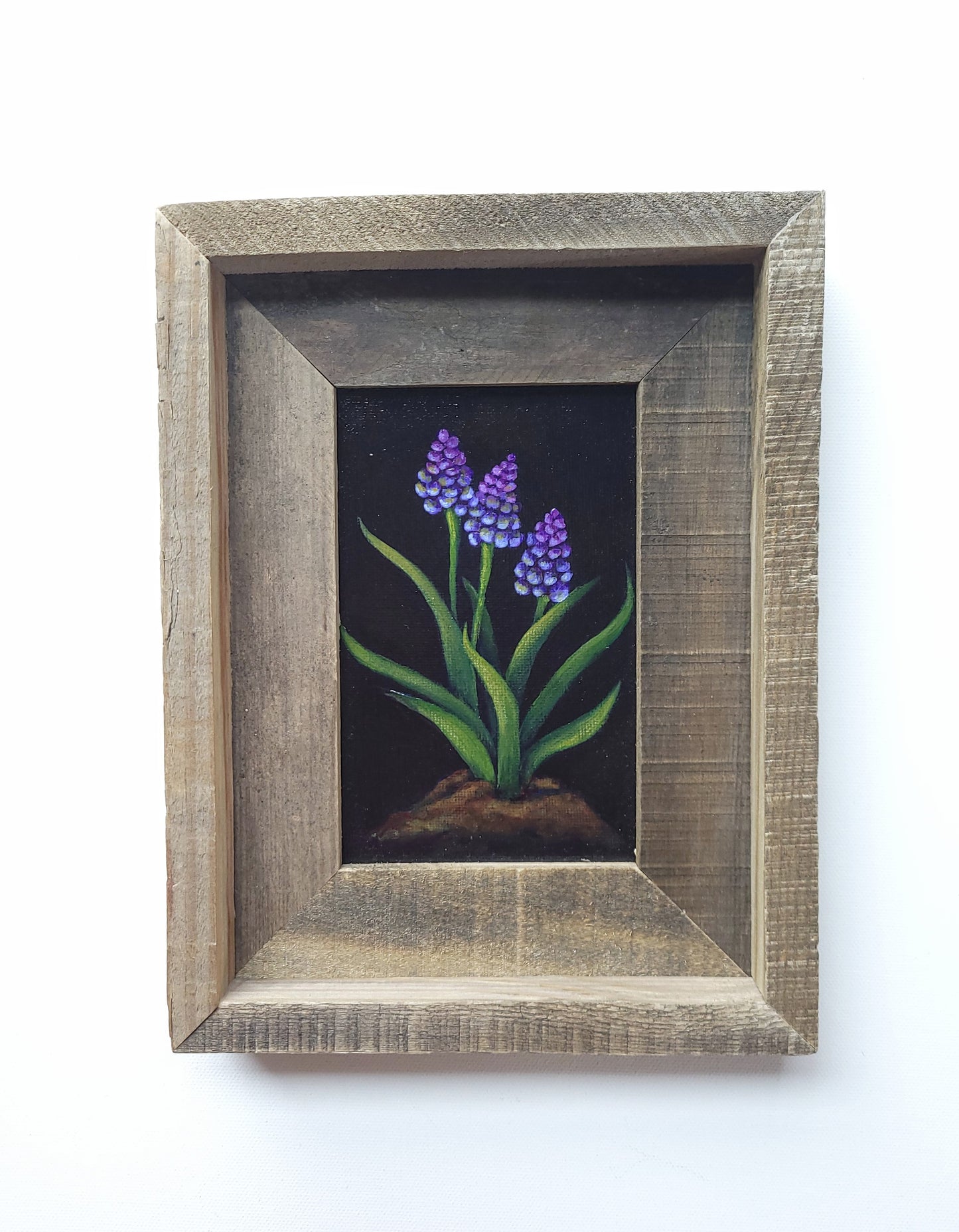 4x6 Framed Grape Hyacinth