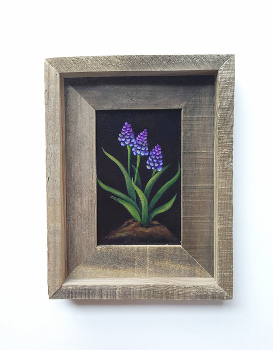 4x6 Framed Grape Hyacinth