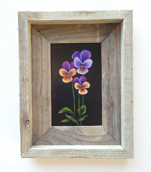 4x6 Framed Mini Johnny Jump Ups