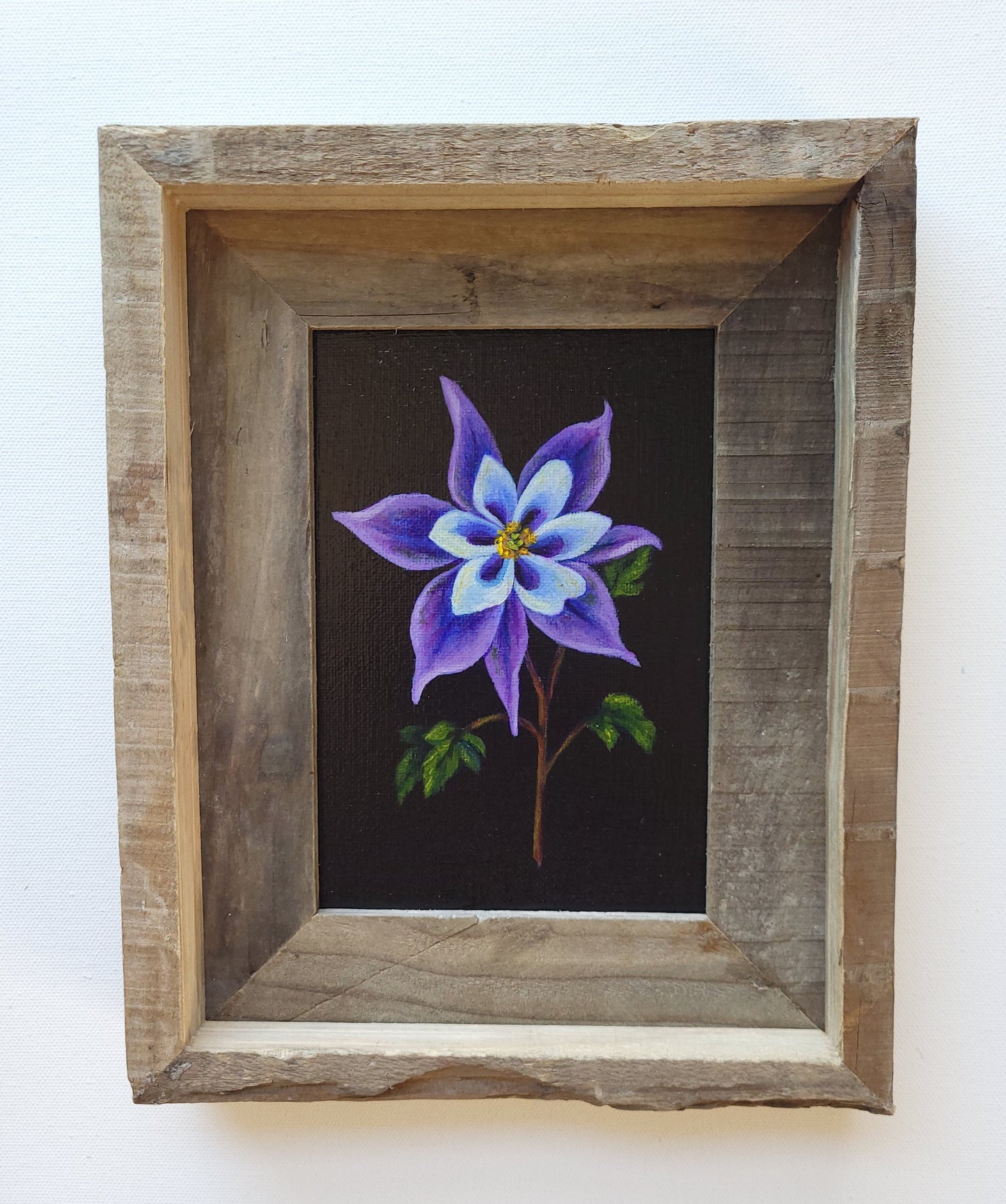5x7 Framed Columbine II