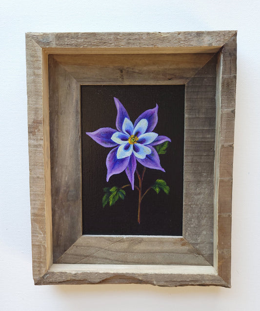 5x7 Framed Columbine II