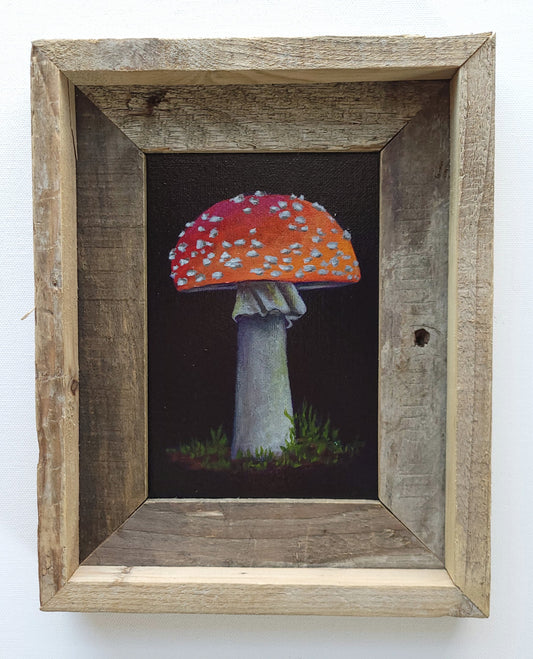 5x7 Framed Mushroom