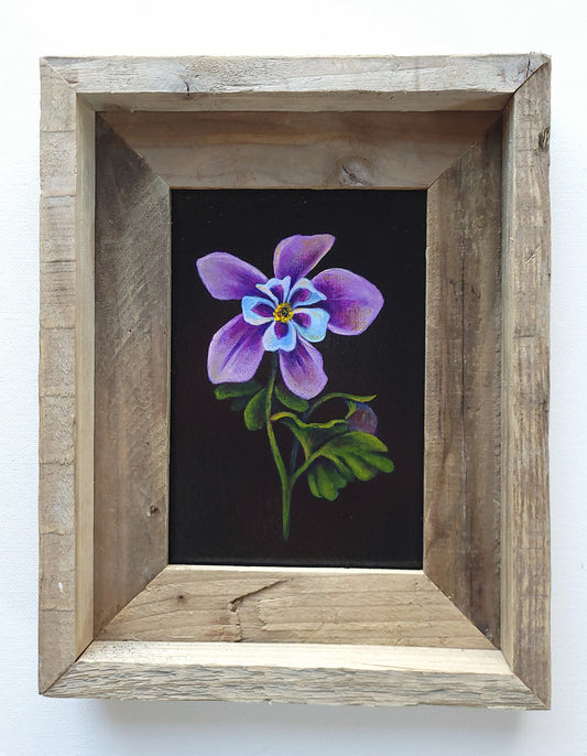 5x7 Framed Columbine III