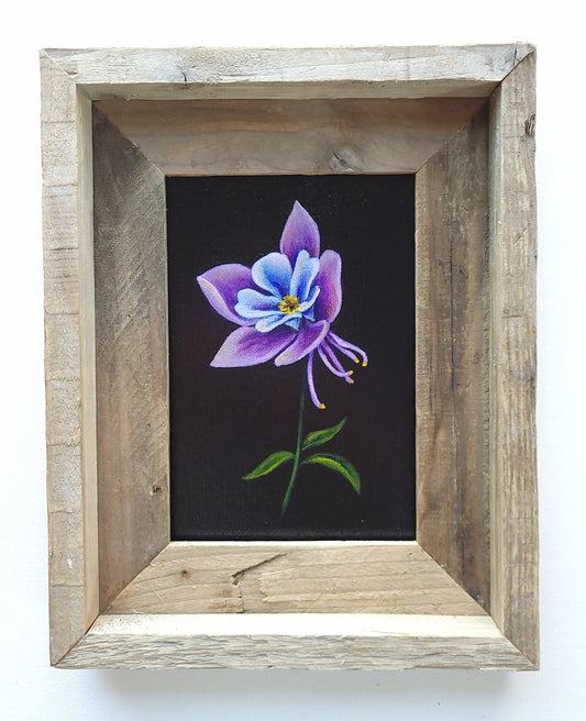 5x7 Framed Columbine IV