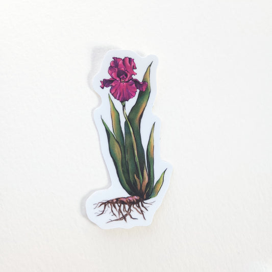 Pretty Bearded Lady Sticker