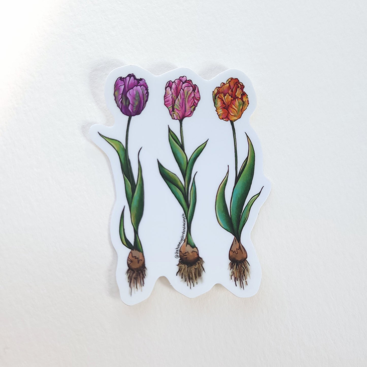 Parrot Tulip Trio Sticker