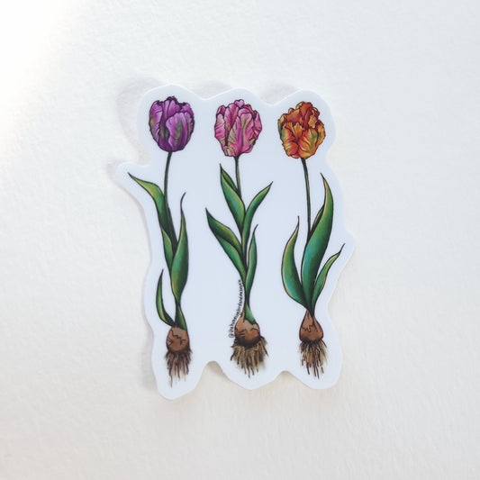 Parrot Tulip Trio Sticker