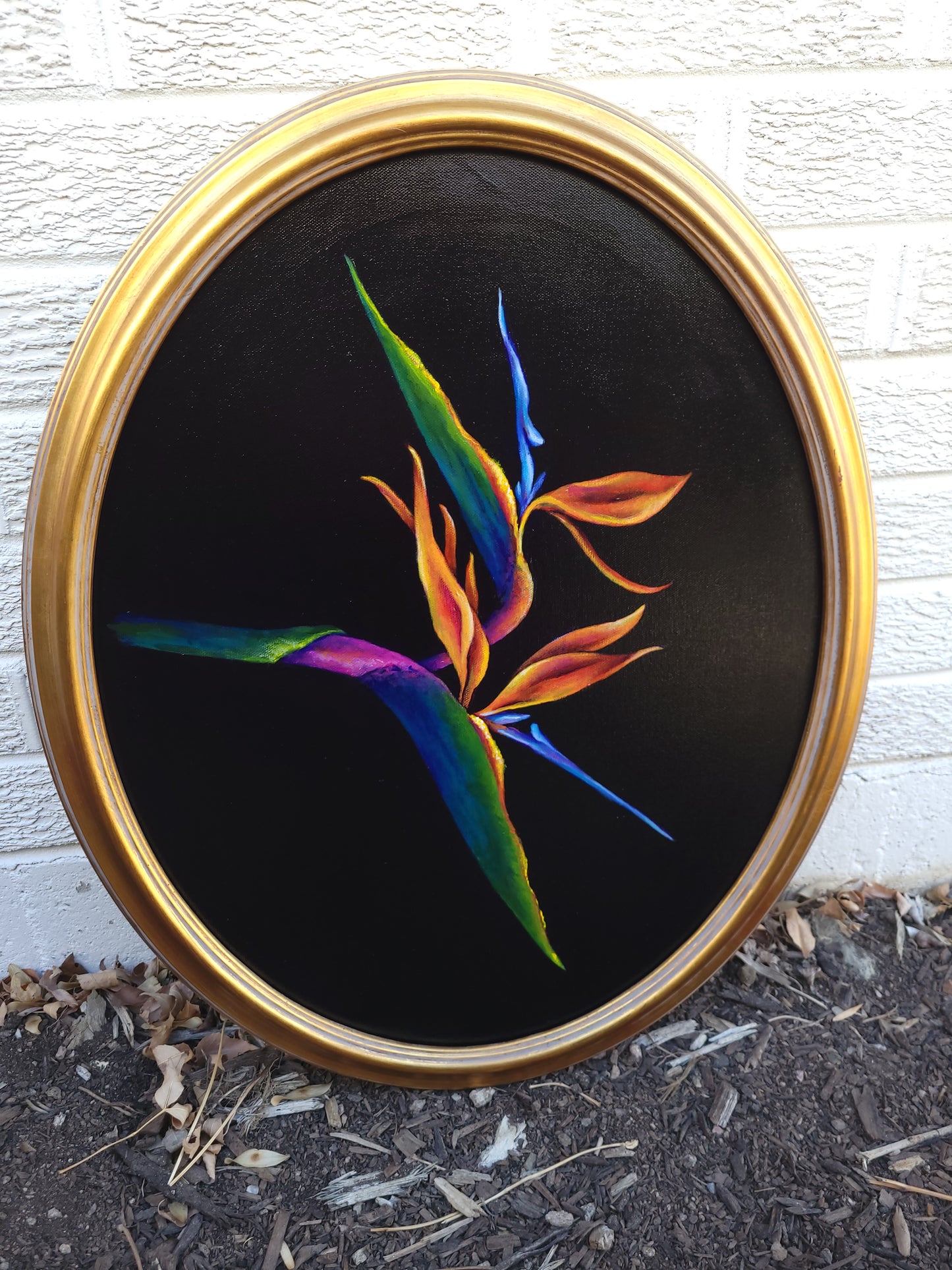 16x20 Framed Bird of Paradise