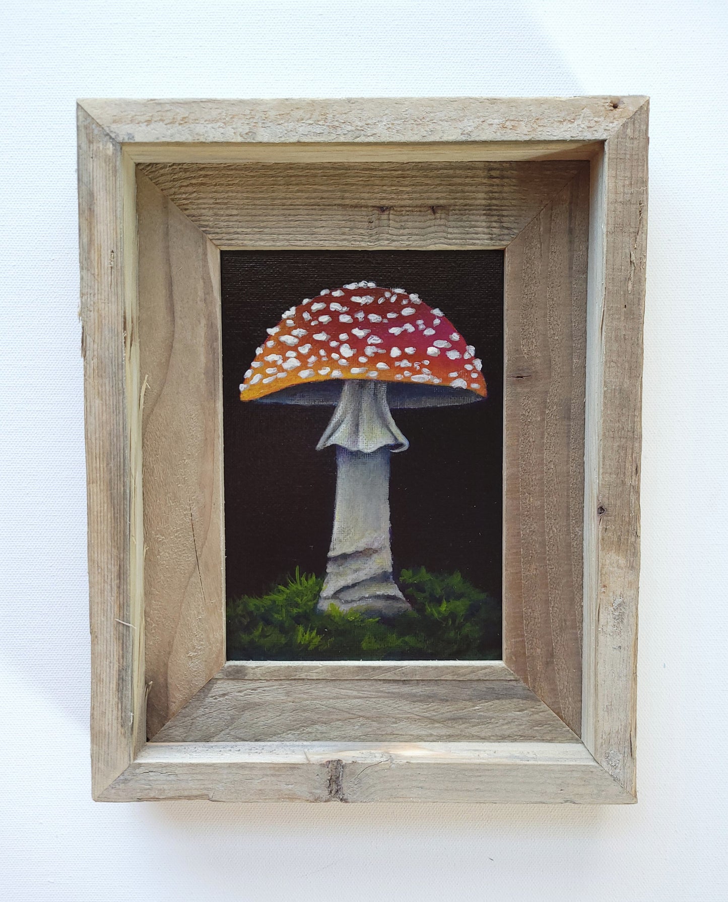 5x7 Framed Mushroom III