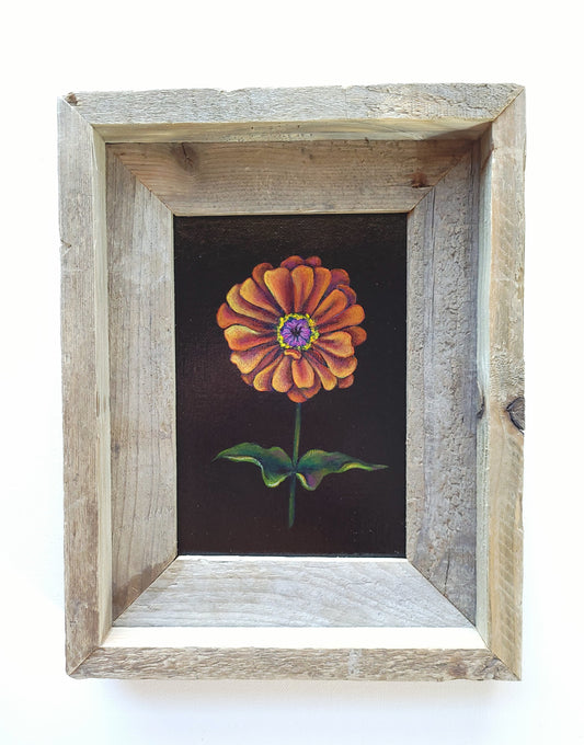 5x7 Framed Red Zinnia II