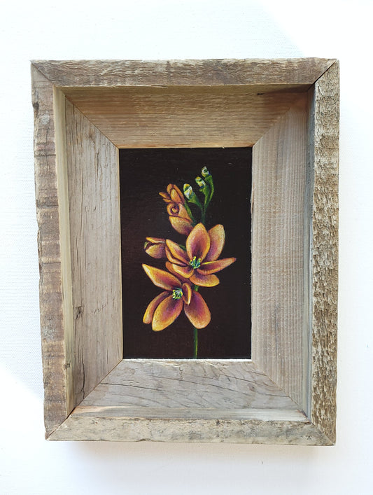4x6 Framed Mini Freesia III