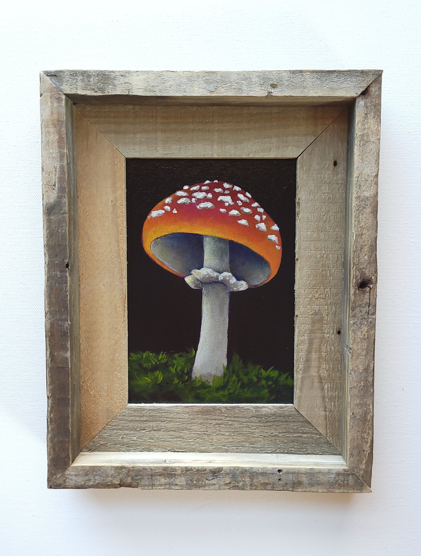 5x7 Framed Mushroom II