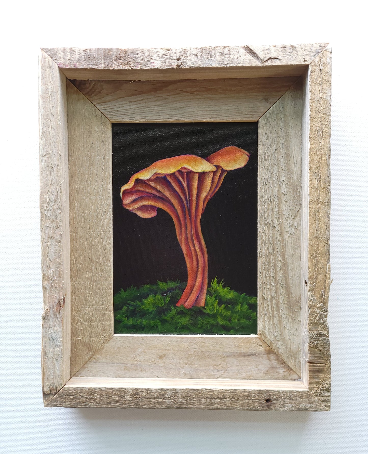 5x7 Framed Mushroom IV