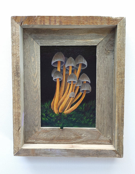 5x7 Framed Mushroom Custer I