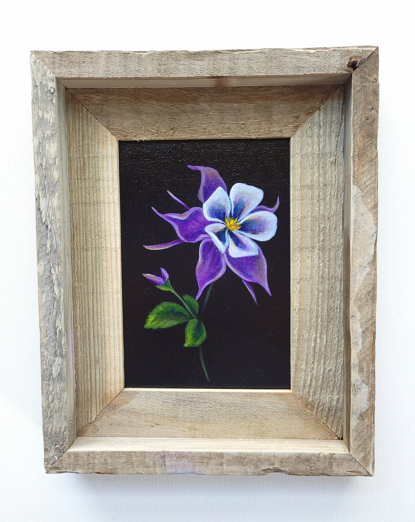 5x7 Framed Columbine VI