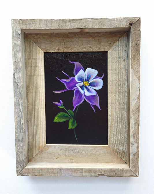 5x7 Framed Columbine VI