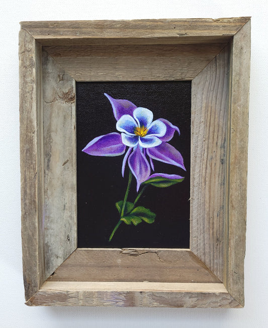 5x7 Framed Columbine V