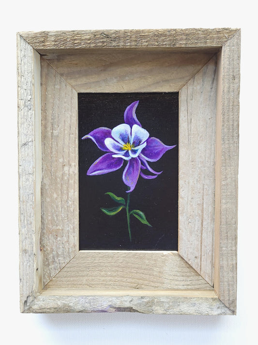 4x6 Framed Mini Columbine VI