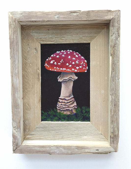 4x6 Framed Mini Mushroom IV