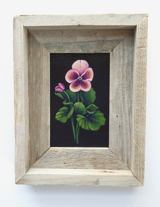 4x6 Framed Mini Pansy II