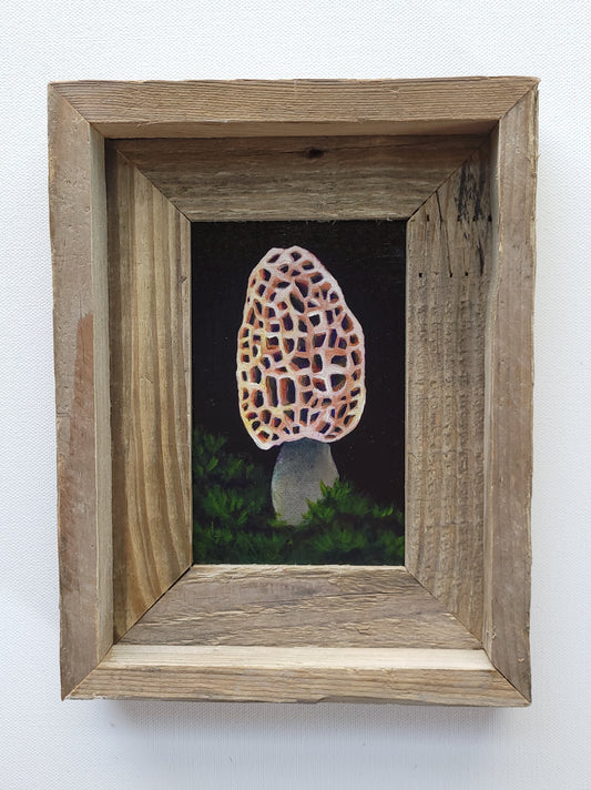 4x6 Framed Mini Mushroom III