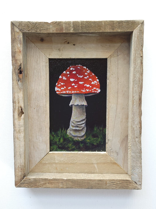 4x6 Framed Mini Mushroom II