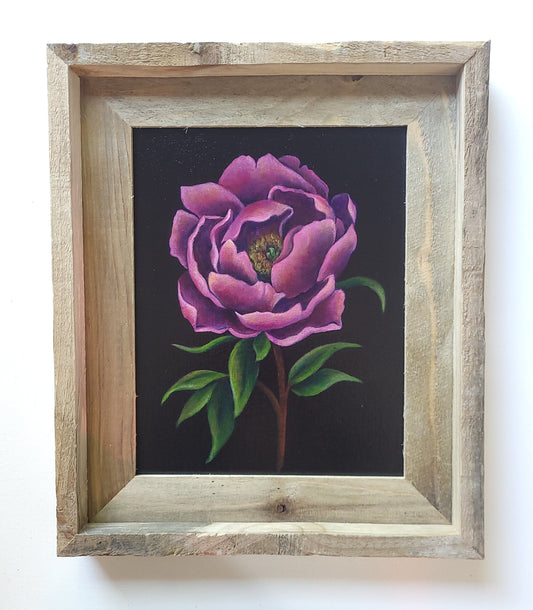 8x10 Pink Peony IV