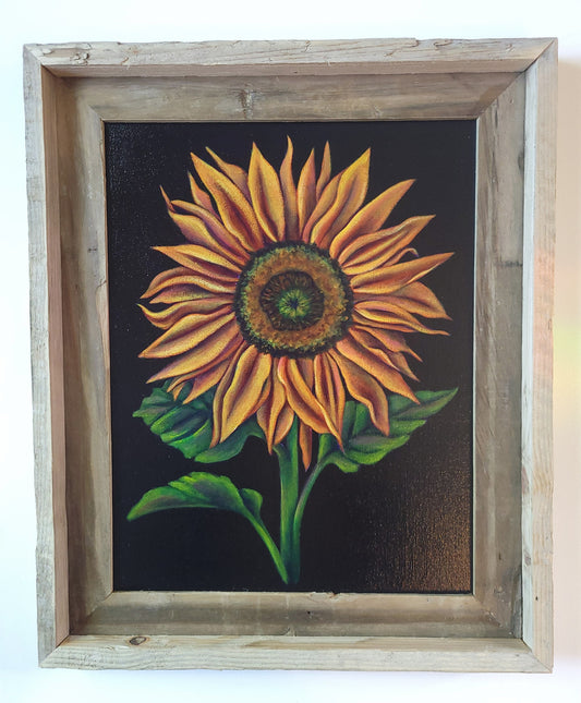 11x14 Framed Sunflower III