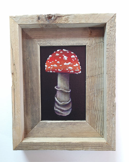 4x6 Framed Mini Mushroom V