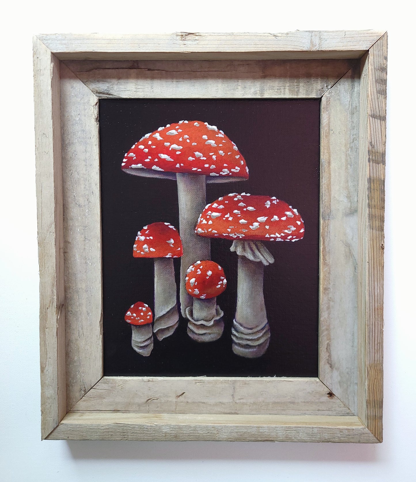 8x10 Group of Mushrooms