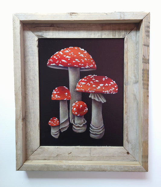 8x10 Group of Mushrooms